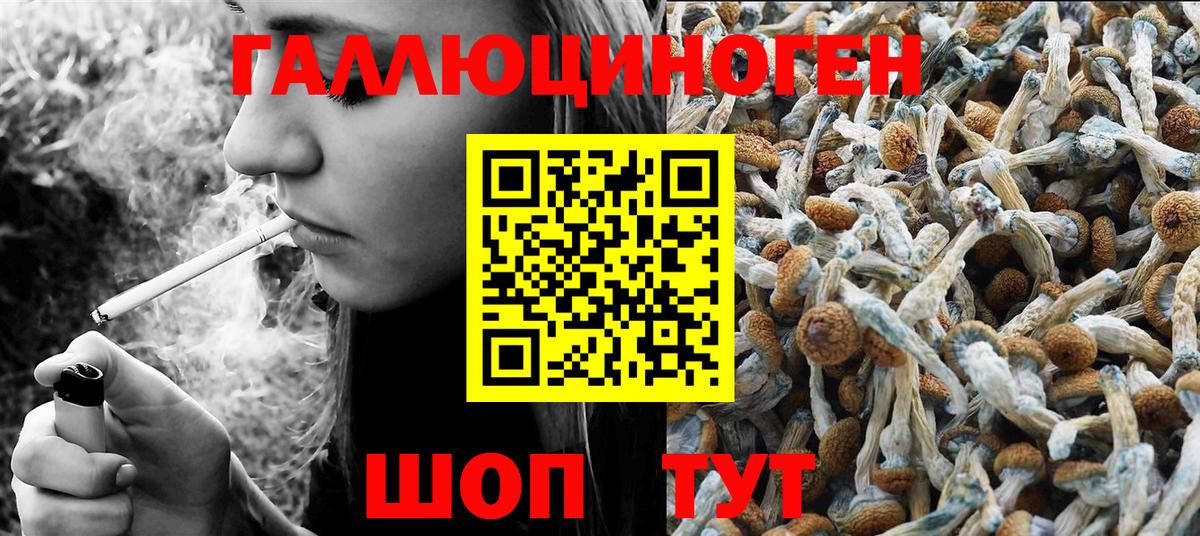 Галлюциногенные грибы прущие грибы  Галлюциногенные грибы Cubensis  Вологда  Вход с VPN 