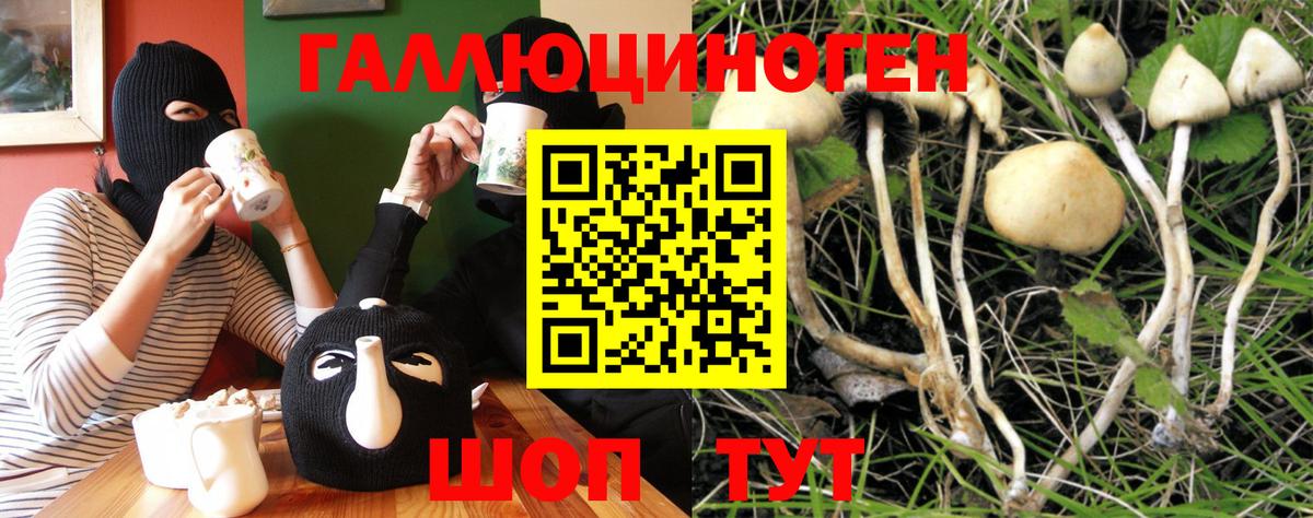 Псилоцибиновые грибы мухоморы Вологда